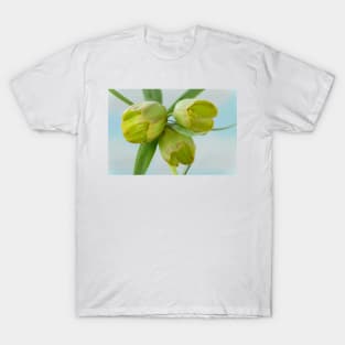 Fritillaria pontica  AGM  Fritillary T-Shirt